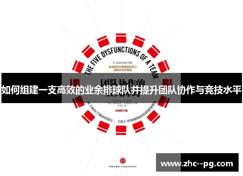 如何组建一支高效的业余排球队并提升团队协作与竞技水平