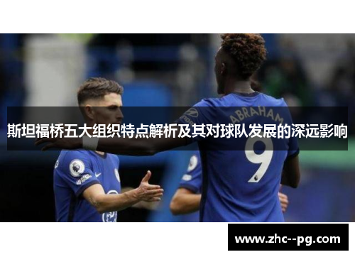 斯坦福桥五大组织特点解析及其对球队发展的深远影响 斯坦福桥五大组织特点解析及其对球队发展的深远影响
