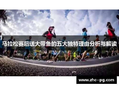马拉松赛后送大带鱼的五大独特理由分析与解读