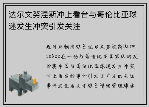 达尔文努涅斯冲上看台与哥伦比亚球迷发生冲突引发关注