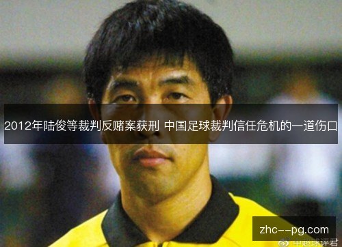 2012年陆俊等裁判反赌案获刑 中国足球裁判信任危机的一道伤口